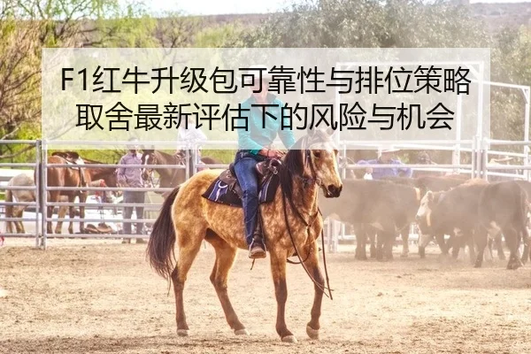 F1红牛升级包可靠性与排位策略取舍最新评估下的风险与机会
