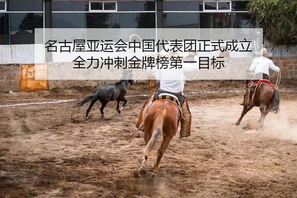 名古屋亚运会中国代表团正式成立 全力冲刺金牌榜第一目标