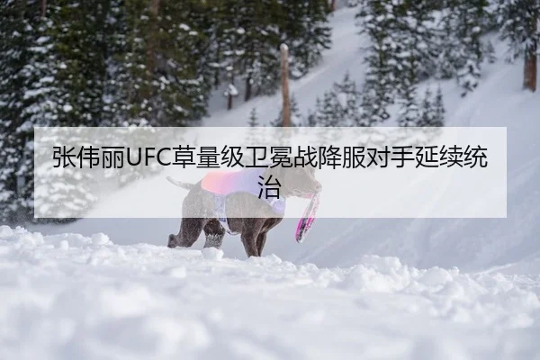 张伟丽UFC草量级卫冕战降服对手延续统治